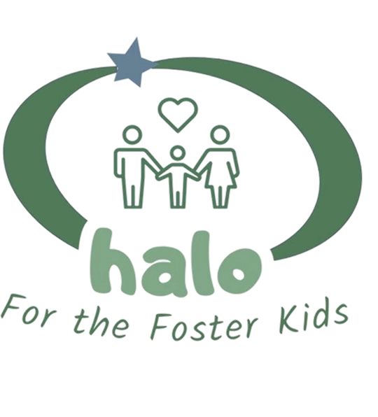 The Halo Project